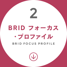 BRID フォーカス・プロファイル